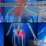 Los Trastornos músculo-esqueléticos y ergonomía