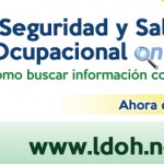 Libro «Seguridad y Salud Ocupacional online. Cómo buscar información confiable”